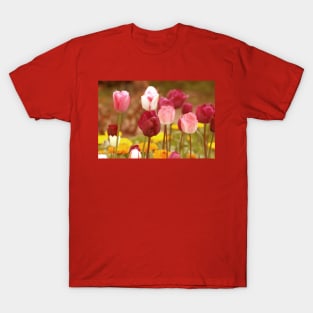 Blossoming pink tulips, romantic spring altered flower photography T-Shirt